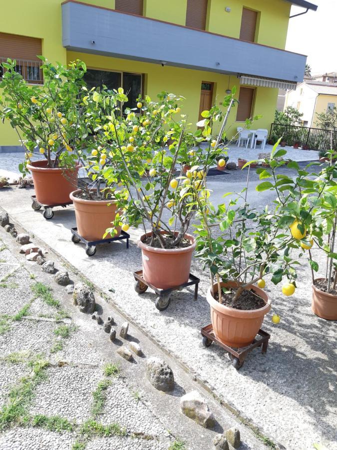 Casa Gli Ulivi Βίλα Montepulciano Stazione Εξωτερικό φωτογραφία
