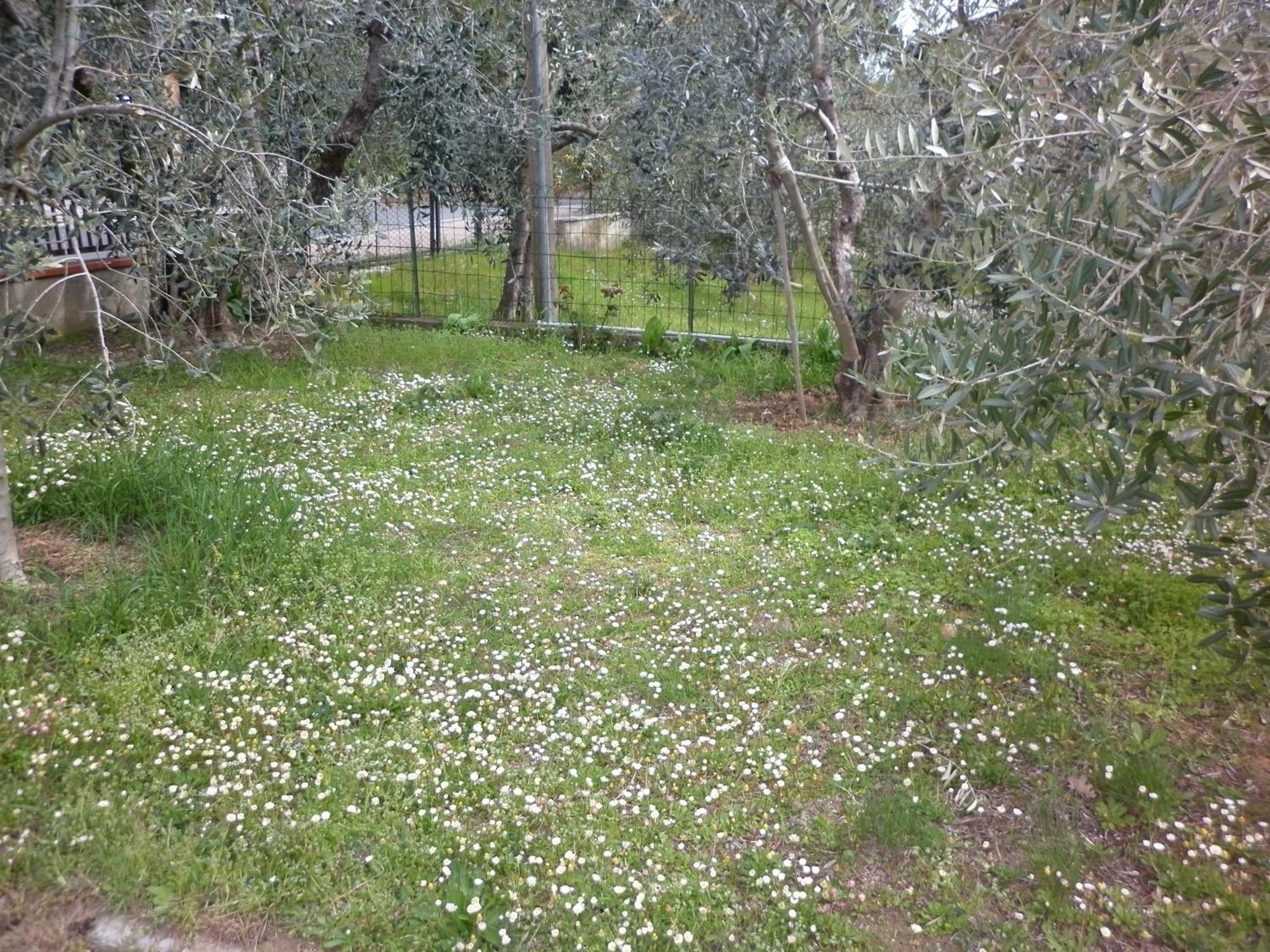 Casa Gli Ulivi Βίλα Montepulciano Stazione Εξωτερικό φωτογραφία
