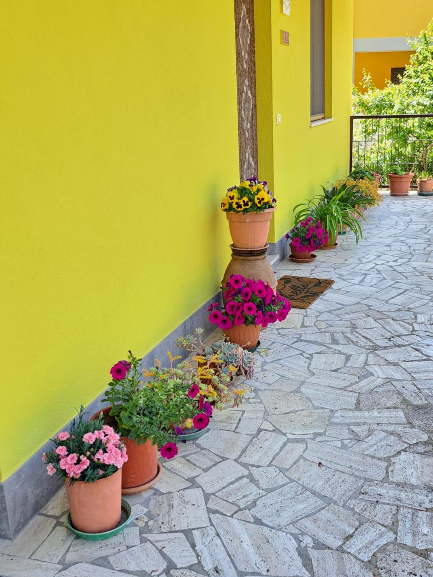 Casa Gli Ulivi Βίλα Montepulciano Stazione Εξωτερικό φωτογραφία