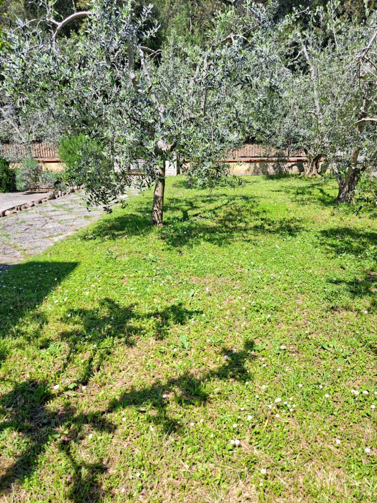 Casa Gli Ulivi Βίλα Montepulciano Stazione Εξωτερικό φωτογραφία
