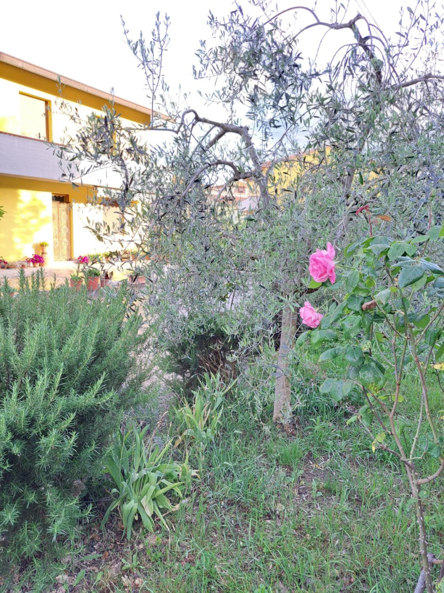 Casa Gli Ulivi Βίλα Montepulciano Stazione Εξωτερικό φωτογραφία